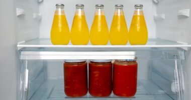 Photo Refrigerator Deodorizer Reviews