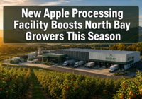 New Apple Processing Facility Boosts North Bay Growers This Season
